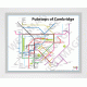 Cambridge White Ash Frame